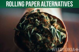 Awesome Rolling Paper Alternatives Edition Weedtokia