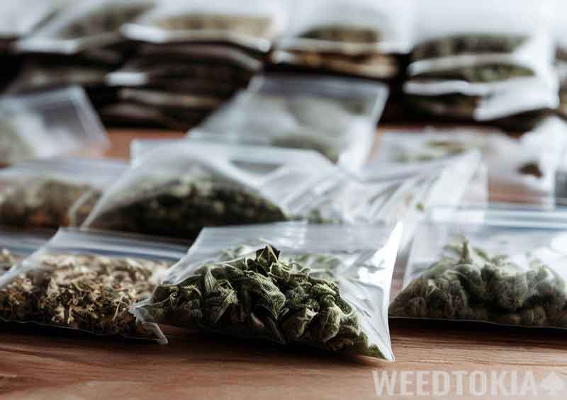 Airtight weed baggies