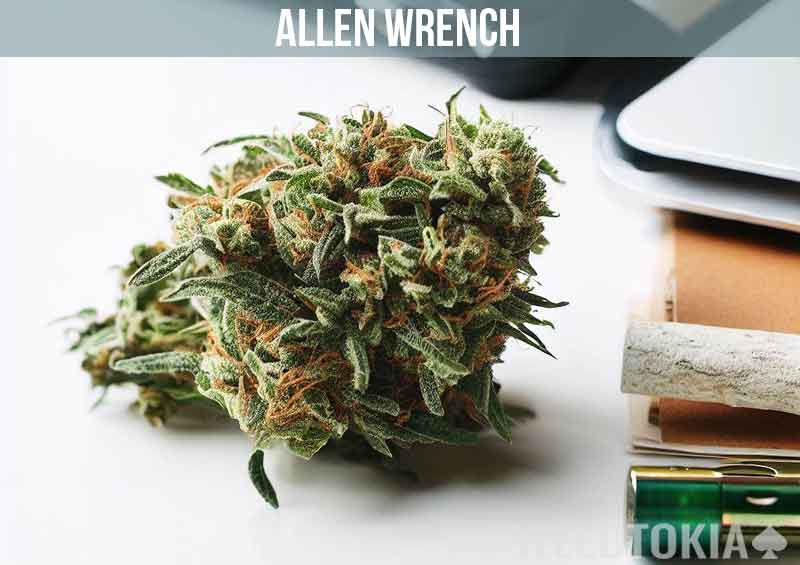 Allen Wrench