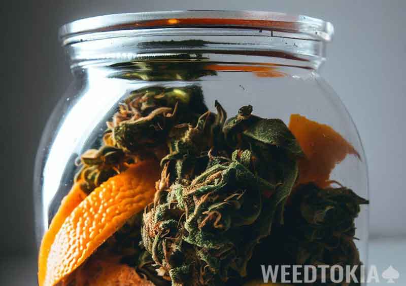 Citrus inside a jar