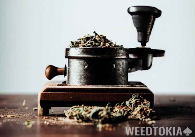 Coffee grinder with bud inside