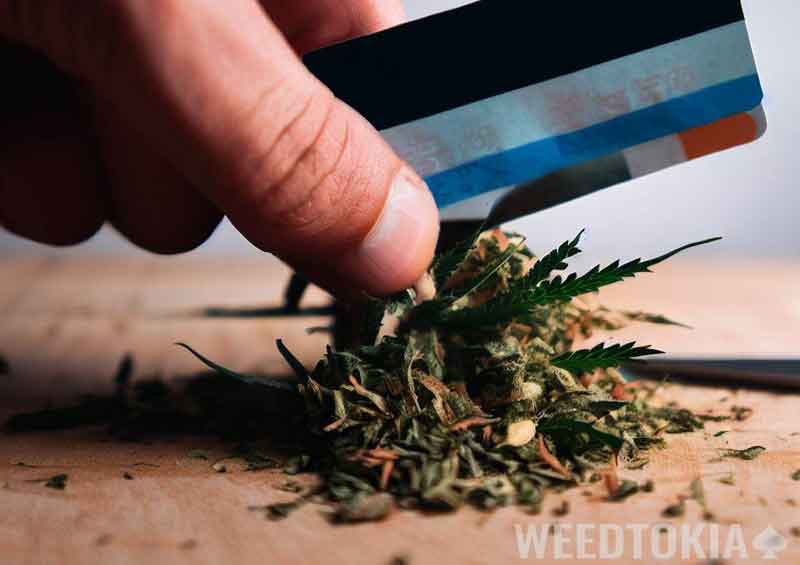 Credit card cutting up weed