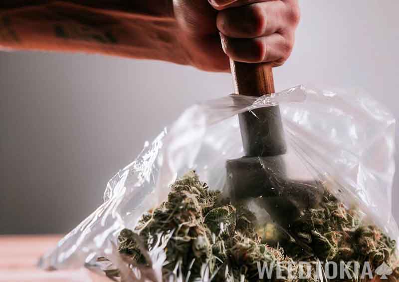 Crushing weed bag with a hammer