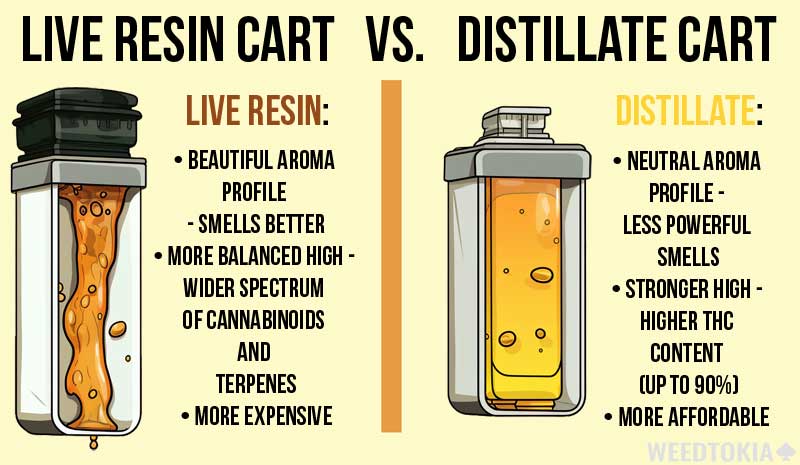 Distillate vs live resin carts infographic