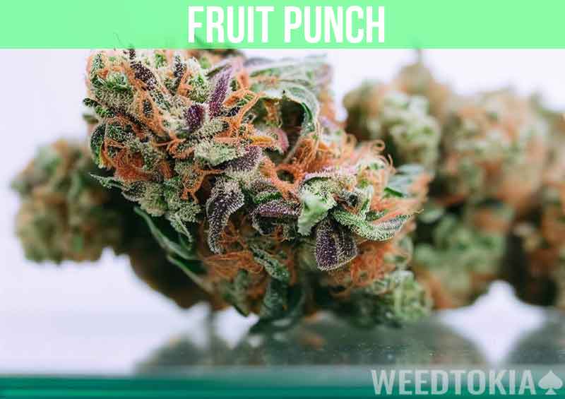 Fruit Punch at dispensary