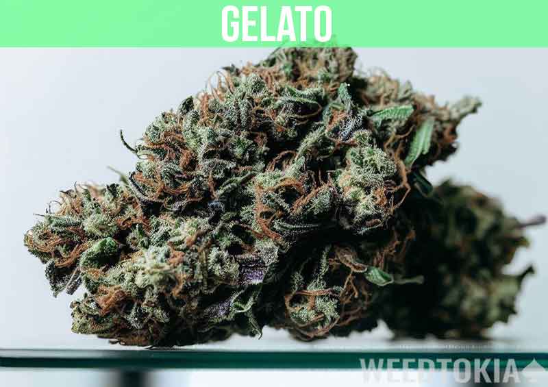 Gelato at dispensary