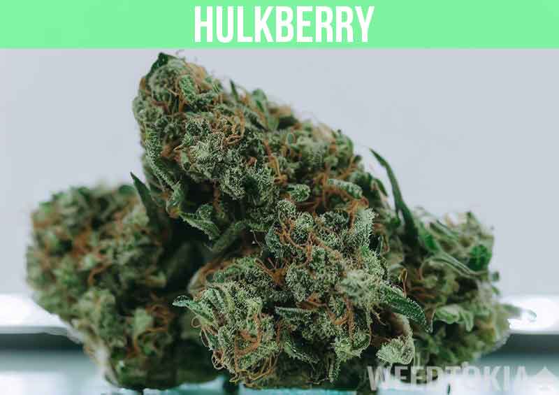 Hulkberry at dispensary