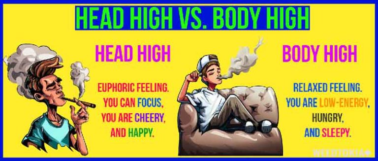 head-high-vs-body-high-key-differences-explained-2023-guide-weedtokia