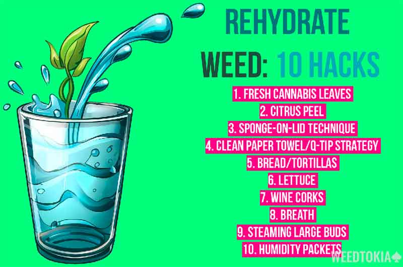 How to Rehydrate Weed (10 Proven Methods in 2023) - Weedtokia.com