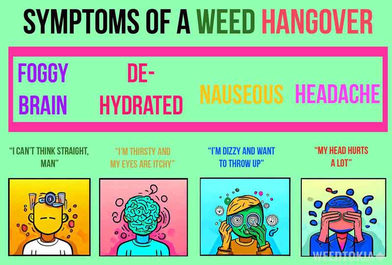 Infographic symptoms of a weed hangover