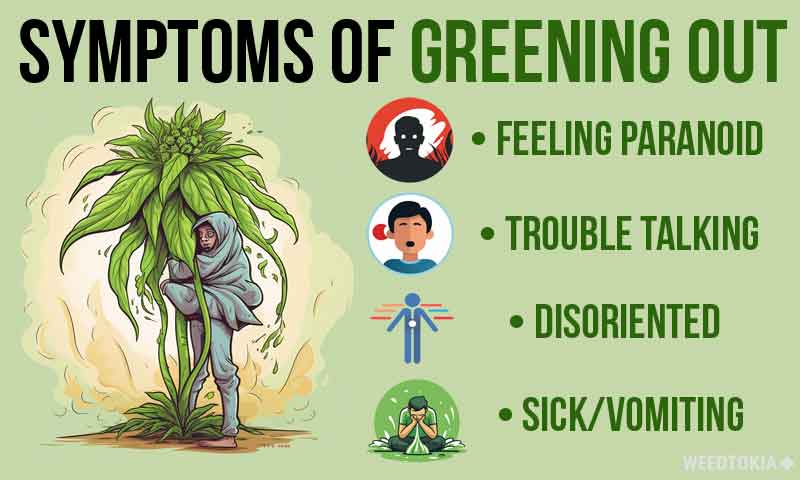 Infographic on symptoms of greening out