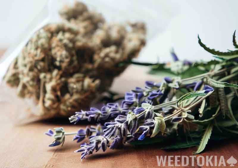 Lavender and cannabis baggie