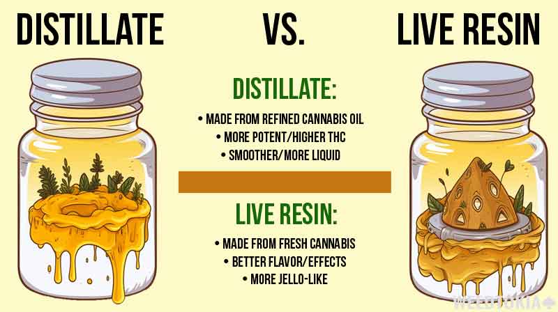 Live Resin vs Distillate Infographic