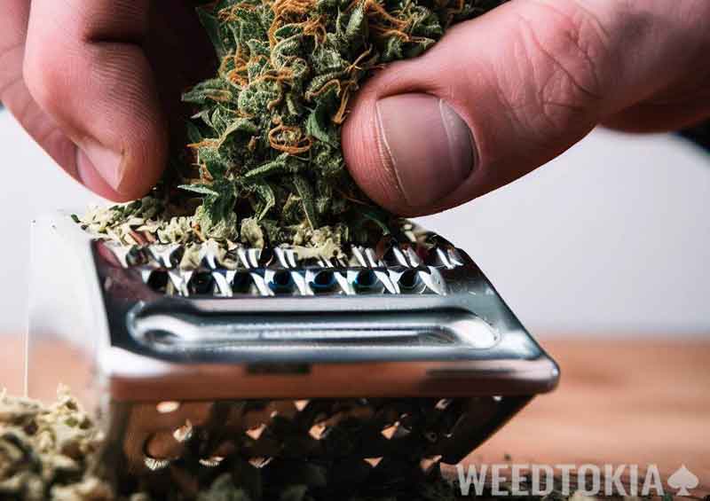 Marijuana going through cheese grater