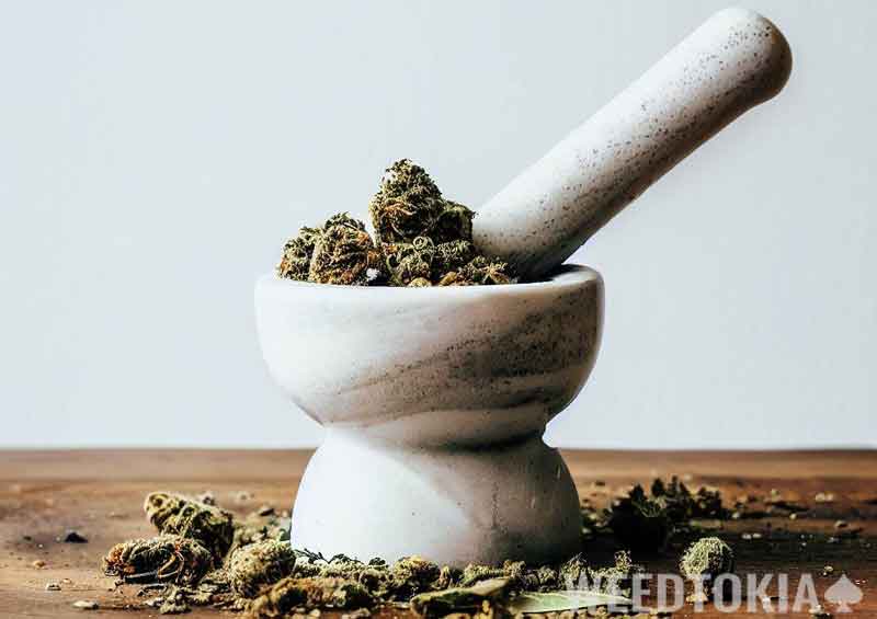 Mortar and pestle crushing weed