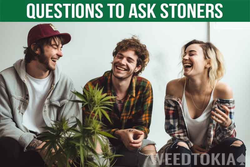 stoner questions