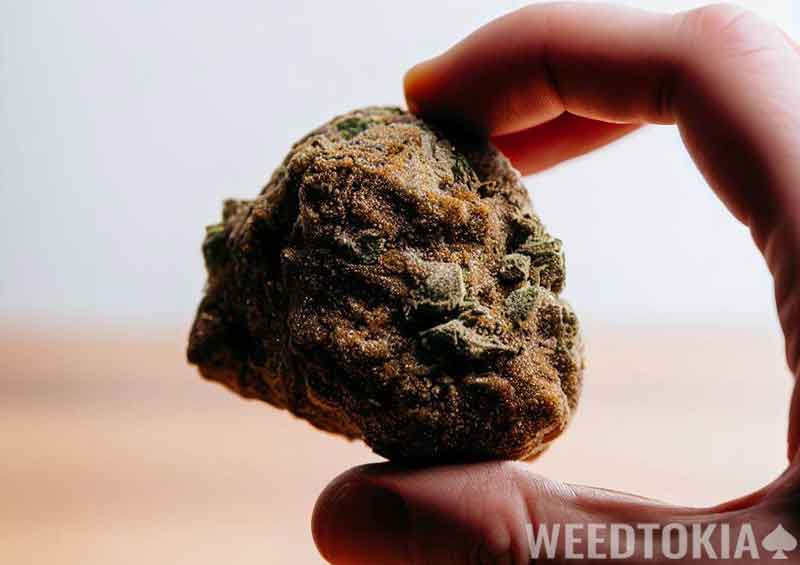 Up-close Telephoto lens of a weed Moon Rock