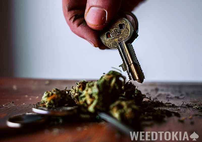 Using keys to grind weed