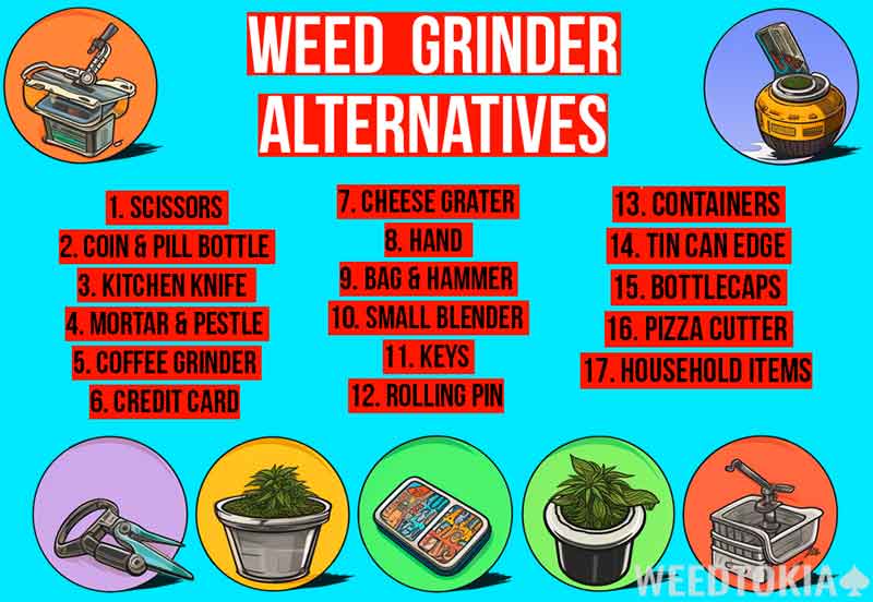 Weed Grinder Alternatives Infographic