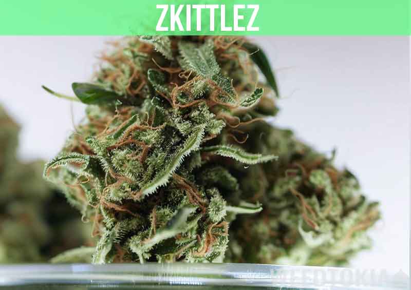 Zkittlez at dispensary