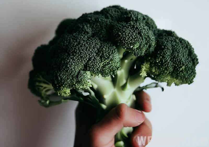 Broccoli held in hand