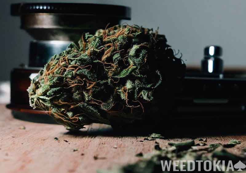 Preparing weed for vaporizer