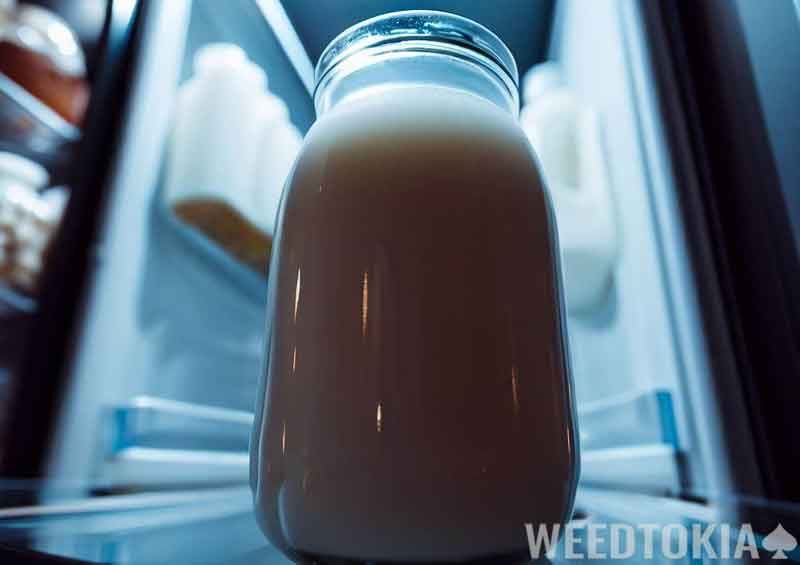 Storing Cannamilk in fridge