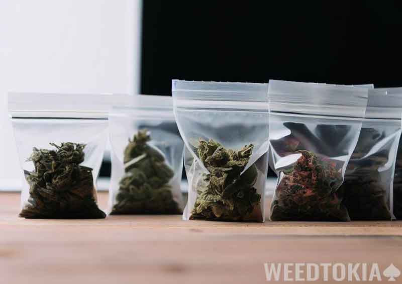 Weed baggie options