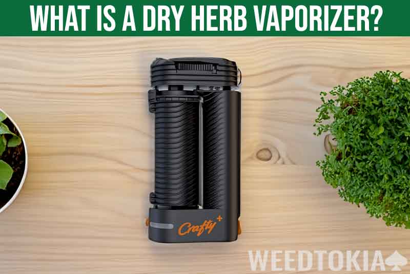 What Is A Dry Herb Vaporizer Featured Image