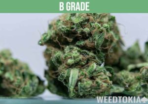 Grades Of Weed Explained: AAAA To D (With Chart) - Weedtokia