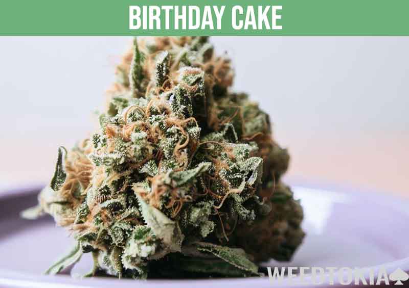 Birthday Cake with a high THC content