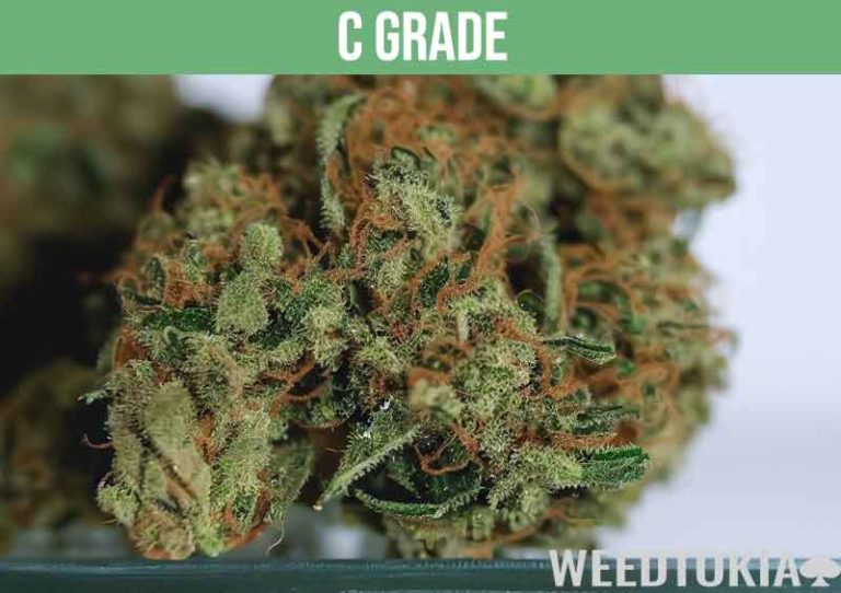 Grades Of Weed Explained: AAAA To D (2024 With Chart) - Weedtokia