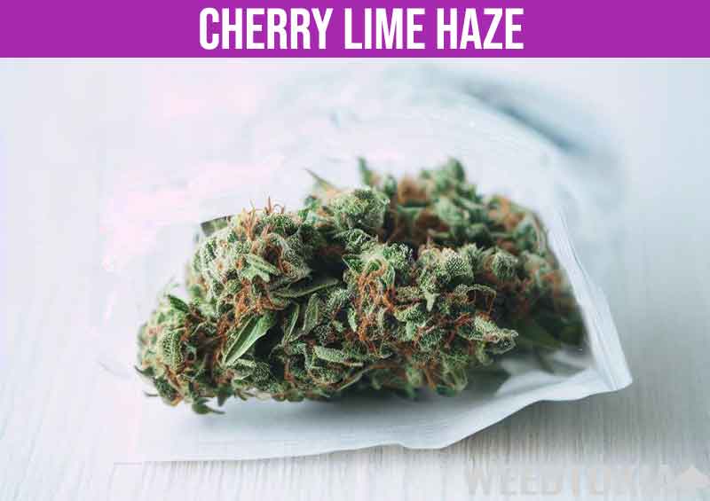 Cherry Lime Haze in bag