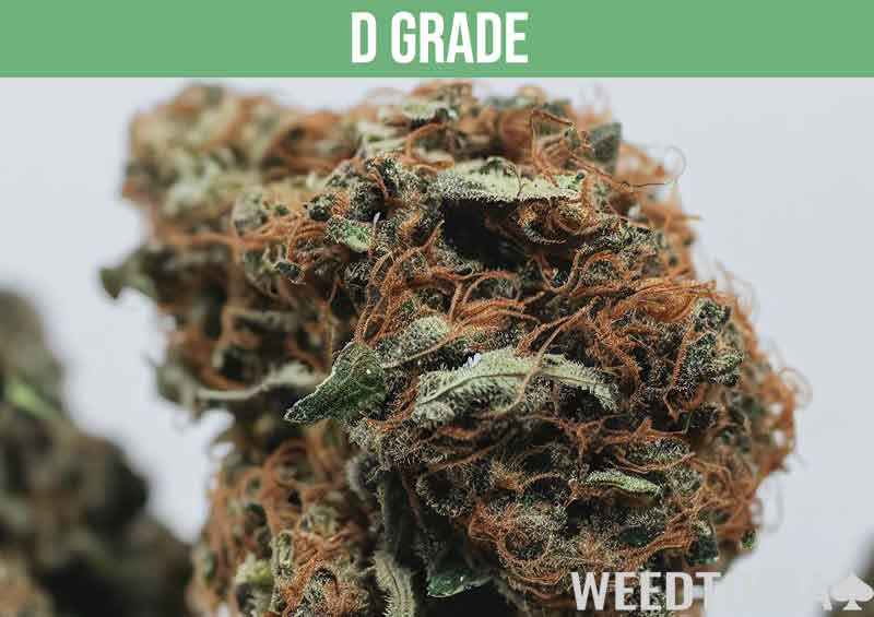 D grade cannabis