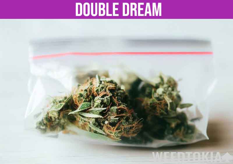 Double Dream in small baggie