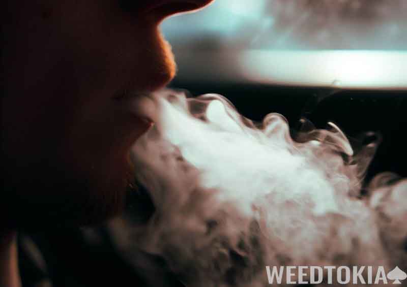 Hotboxing in a car