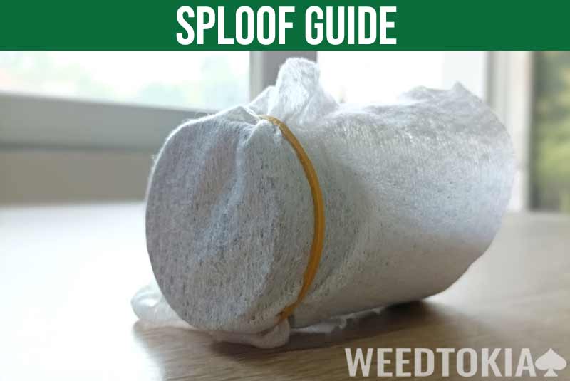 how to make a sploof guide