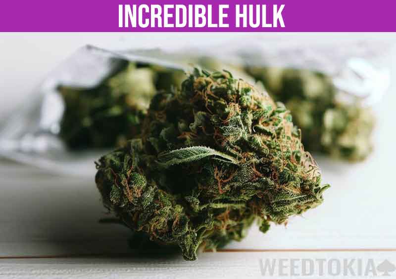 Incredible Hulk cannabis