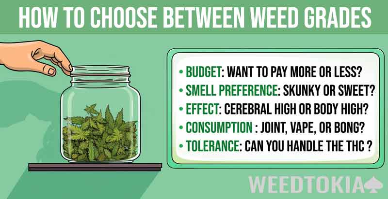 Infographic on how to choose based on weed grade