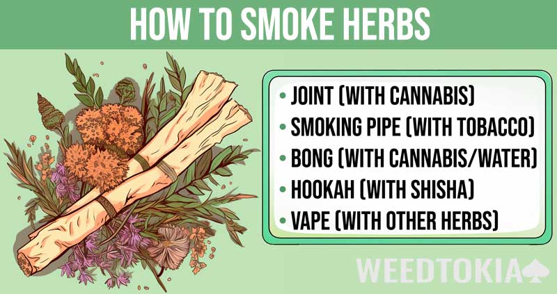 Infographic on how to smoke herbs with examples like joint, smoking pipe, bong, hookah, and vape