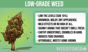 Grades Of Weed Explained: AAAA To D (With Chart) - Weedtokia