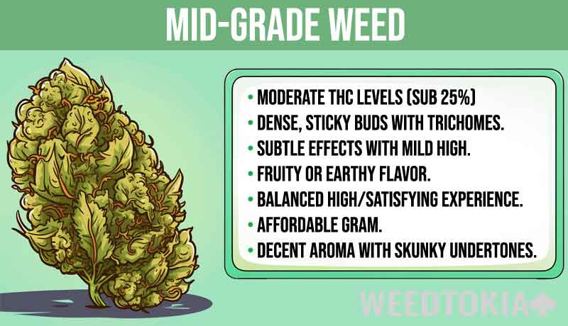 Infographic on mid-grade quality marijuana