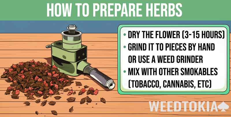 Infographic on preparing herbs for smoking step-by-step