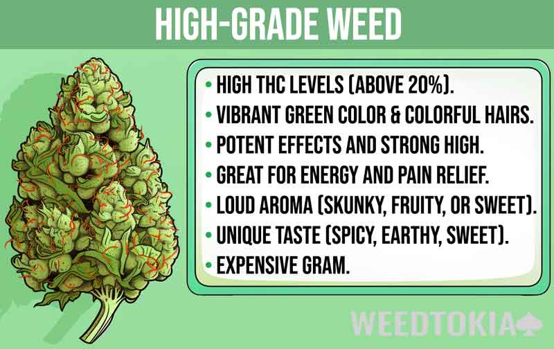 Infographic on the characteristics of high-grade weed