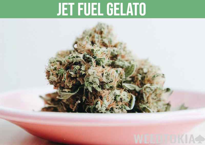 Jet Fuel Gelato on a pink plate