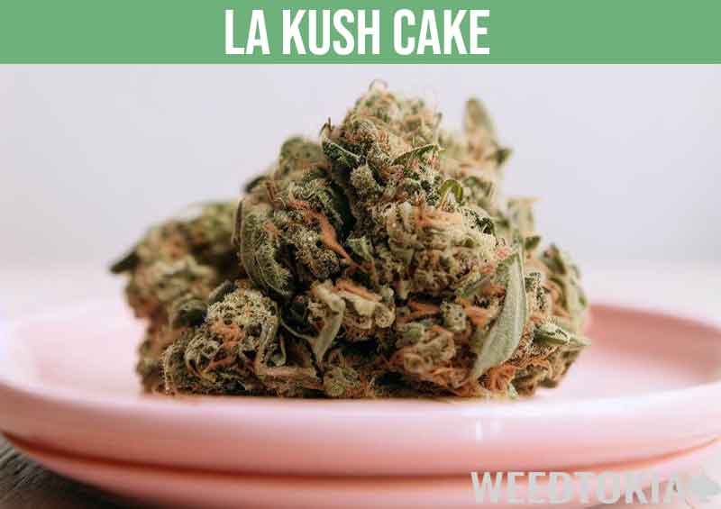 LA Kush Cake marijuana strain