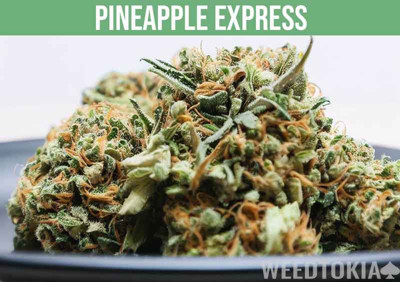 Pineapple Express on black plate