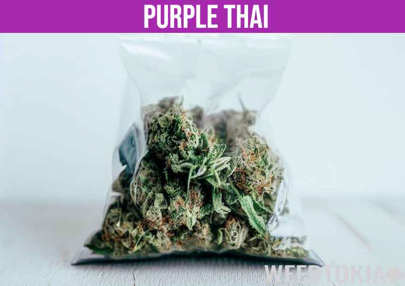 Purple Thai in big baggie