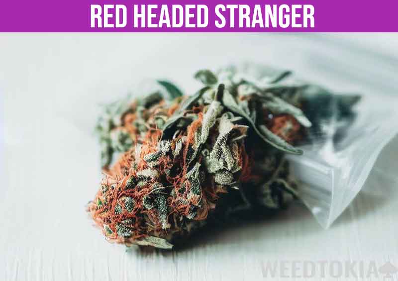 Red Headed Stranger