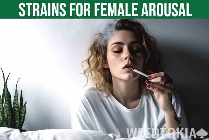 Strains for female arousal featured image